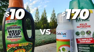 I Tested a $10 Weed Killer Against a $170 PRO Combo