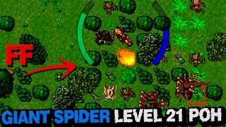 [Tibia]~ Hunt Giant Spider POH Level 21 Paladin. (Belobra) with Fire Field.