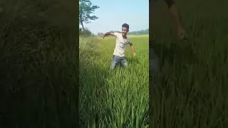 Bihar Dj gorka babu kasim bahi