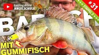 Barschangeln mit dem Gummifisch im Herbst 🍃🎣😍