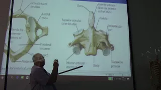 Anatomy of head & neck 19 (Cervical vertebrae  , part 2 ) , by Dr. Wahdan