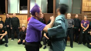 Ninja Grandmaster Masaaki Hatsumi Sensei demonstration