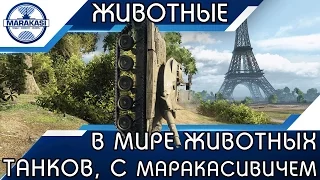 В МИРЕ ЖИВОТНЫХ ТАНКОВ с Михаилом Маракасивичем (первый выпуск, бабаха Т49) World of Tanks