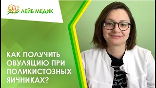 ⌛ Как получить овуляцию при поликистозных яичниках?