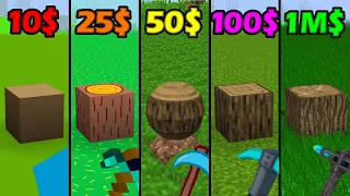 minecraft for 0$ vs 10$ vs 25$ vs 50$ vs 100$ be like