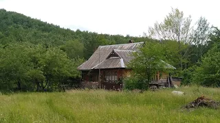 Продається будинок 🏡 в Карпатах #3