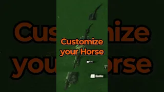 How to CUSTOMIZE YOUR HORSE in Tears of the Kingdom!