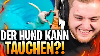 🤣🔥LACHFLASH bei Unusual MEMES! - REAKTION | Trymacs Stream Highlights