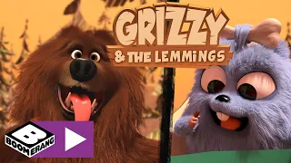 Grizzy en de Lemmings | Voorouder beer | Cartoonito