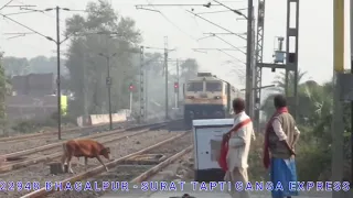 Live accident#Speedy Train hits cow video