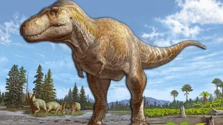This New Tyrannosaurus Species Was A Monster | Tyrannosaurus mcraeensis