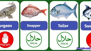 Halal And Haram Fish In Islam || Halal & Haram Fish List