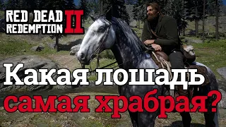 Какая лошадь самая храбрая или это миф? | Red Dead Redemption 2