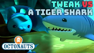 ​@Octonauts - Tweak vs a Tiger Shark 🥕🦈 | International Women's Day | @OctonautsandFriends