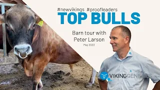 VikingJersey - The Top New Sires & Proofleaders May 2022
