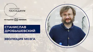 Станислав Дробышевский, "Эволюция мозга"