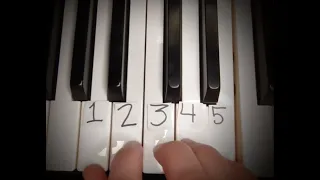 We Three Kings, easy beginner piano 🎹 ,Christmas song, pattern in description!