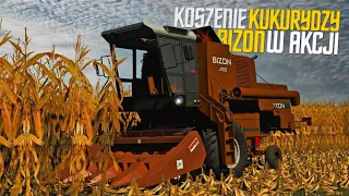 ŻUBR W QQRYDZY 🌾 [CZYLI ZŁOTE CIĘCIE 2021] 🔥 BIZON 🚜 NEW HOLLAND