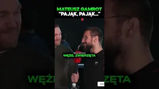 Mateusz Gamrot  "PAJĄK, PAJĄK..." | #shorts