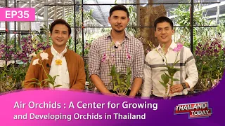 Thailand Today2022 EP35 : Air Orchids : A Center for Growing and Developing Orchids in Thailand