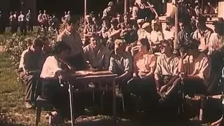 Педагогическая поэма 1955