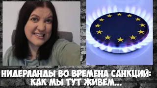 Нидерланды во времена санкций: как мы тут живём...