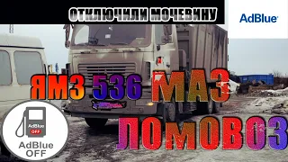 Отключение мочевины на Мазе ЛОМОВОЗЕ с двигателем ЯМЗ 536