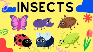 Learning Insects #learning #kidsvideo #kids