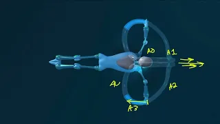Breaststroke Wave Arms Force Explanation