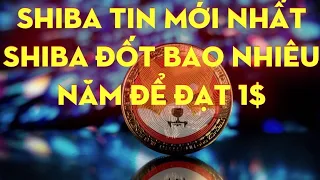 Shiba Tin Mới Nhất | Shiba Đốt Bao Nhiêu Năm Để Đạt 1$ !