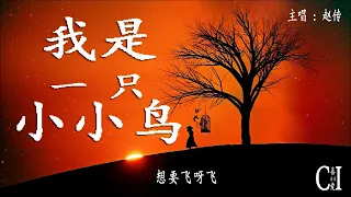 我是一只小小鸟~赵传『我飞上了青天才发现自己从此无依无靠』【动态歌词】I Am A Small Bird