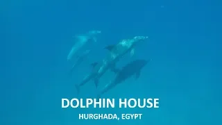 DOLPHIN HOUSE • HURGHADA, EGYPT 🇪🇬 • 2019