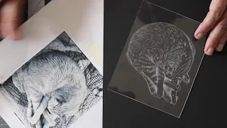 Dry Point Etching on Plexiglass - Sleeping Cat