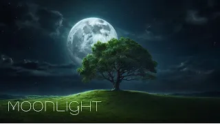 Moonlight - Perfect Sleep Ambient Music - Healing Meditation Music for Divine Rest