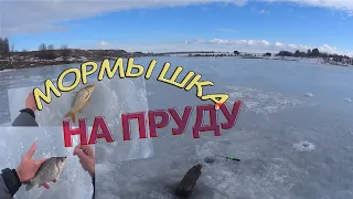 Карась на мормышку!!! Поиск рыбы в большом пруду! Рыбалка зимой! Карпенок, вырывает удочку из рук!!!