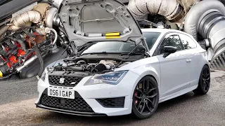 This *FULLY BUILT* 800+BHP AWD Swapped Cupra 280 is UNBELIEVABLE!!