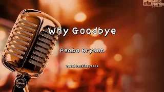 Why Goodbye - Peabo Bryson (Instrumental & Lyrics)