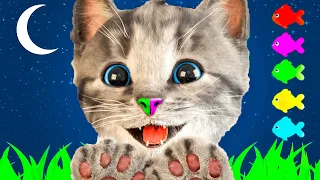 LITTLE KITTEN ADVENTURE GAME - FUNNY KITTEN AND PET CARE - CARTOON VIDEO FOR KIDS AND TODDLERS