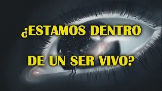 ¿Qué es el Universo? ¿Podría ser el Universo una mente?