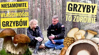 Chcesz być zdrowy? Jedz Grzyby! Rozmowa z  Prof. dr hab. Bożeną Muszyńską #grzyboludy