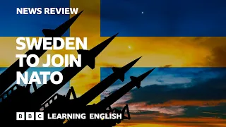 Sweden to join Nato: BBC News Review