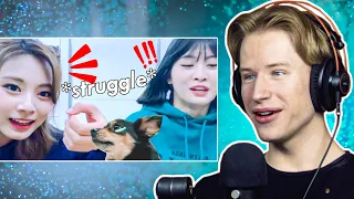 HONEST REACTION to TWICE *struggle* to learn chinese from tzuyu ft. their dogs