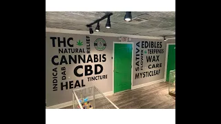 Our First Dispensary Tour and More!