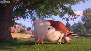 The Secret Life of Pets ( funny moment Dog🐶 & Cow🐮 )