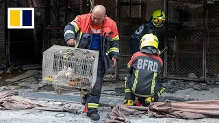 Over 1,000 animals killed in Chatuchak market fire in Bangkok