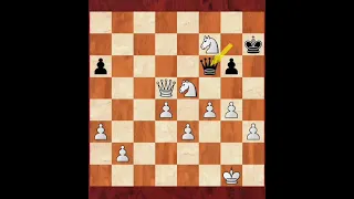 Rarest Checkmate🔥🔥#chess #trending #viral #tactics #chessgames #chessmaster #brilliant #shorts