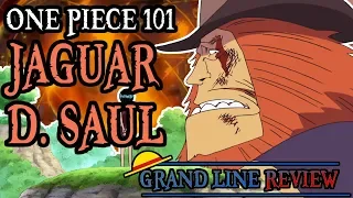Jaguar D. Saul Explained (One Piece 101)