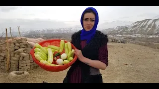 Cooking Green Eggplants Village Style | Village life Afghanistan
