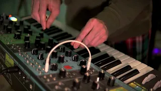 Moog Matriarch Relaxing Improvisation (Fun with Arps 4)