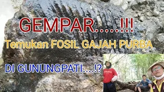 GEMPAR..!!! Ditemukan FOSIL GAJAH PURBA || Di Gunungpati